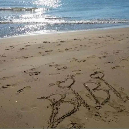 Comfortable Flat On The Floor Apartment